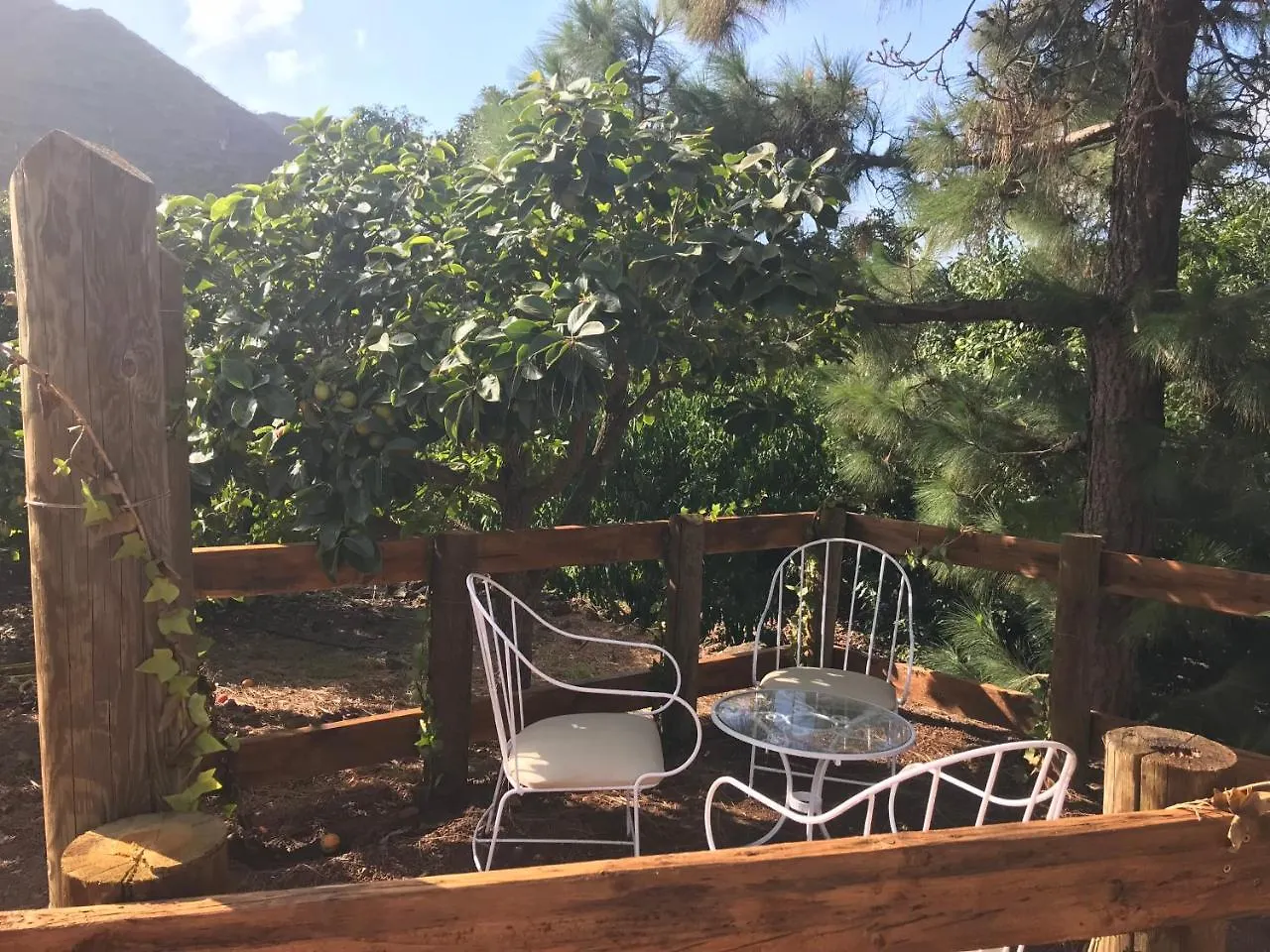 Finca El Vergel Rural Tegueste Country house
