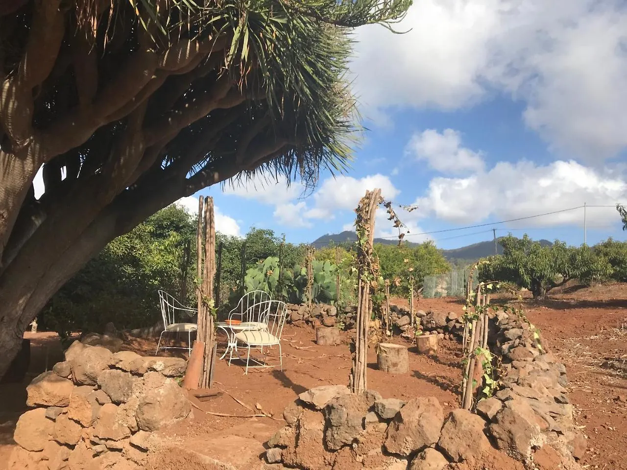 Finca El Vergel Rural Tegueste Gospodarstwo wiejskie