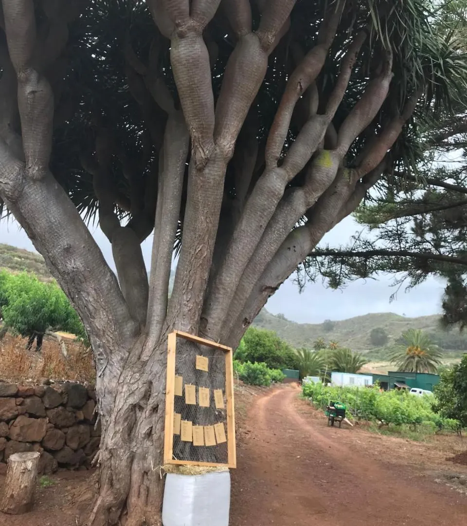 Country house Finca El Vergel Rural Tegueste Spain