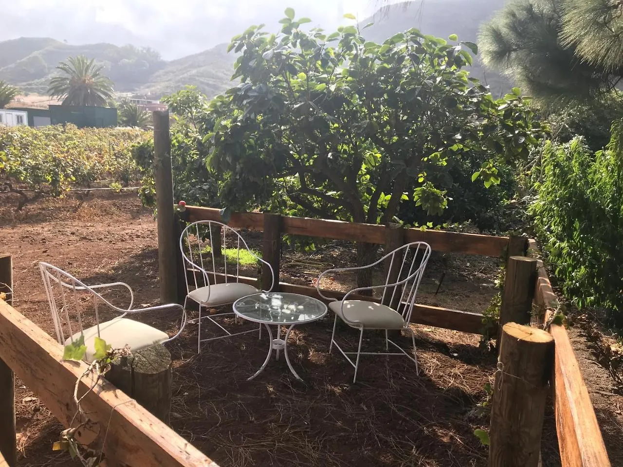 Finca El Vergel Rural Tegueste 0*,  Spain