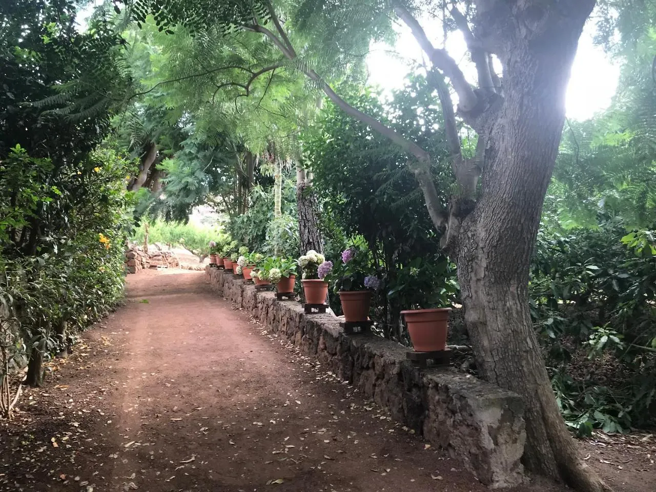 Finca El Vergel Rural Tegueste